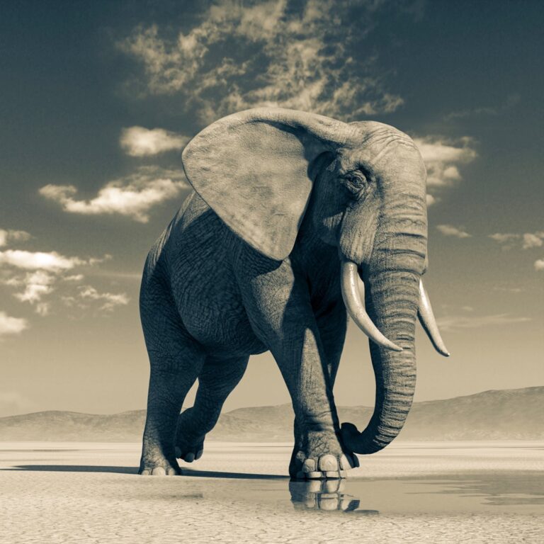 Ganesha the remover of obstacles